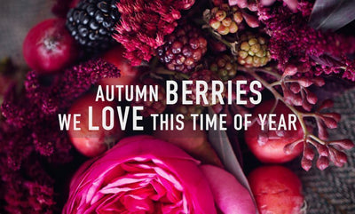 THE SCARF ROOM BLOG : AUTUMN BERRIES