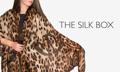 The New Girl Upstairs - The Silk Box