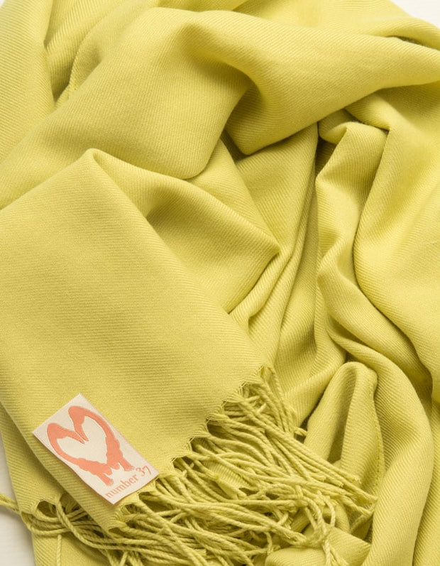 an image showing a close up of a lime green pashmina