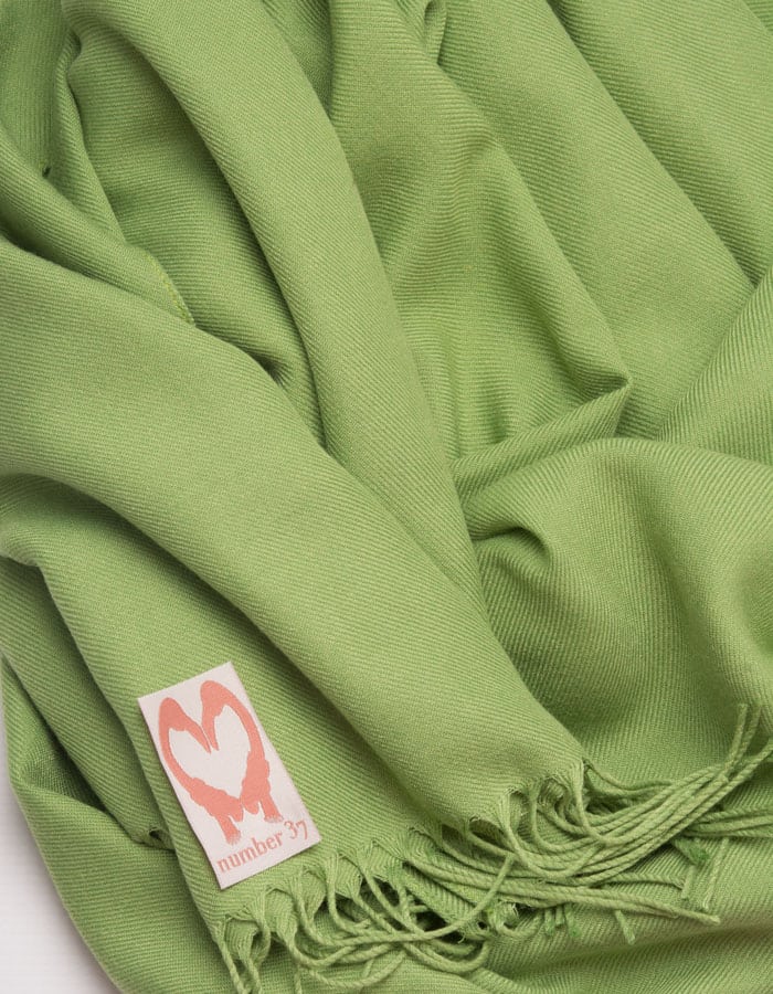an image showing a close up of a pistachio green pashmina 