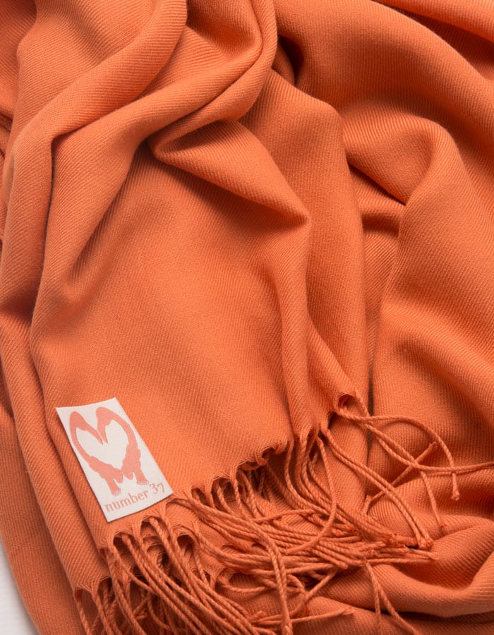 an image showing a close up of a pashmina in Pumpkin orange